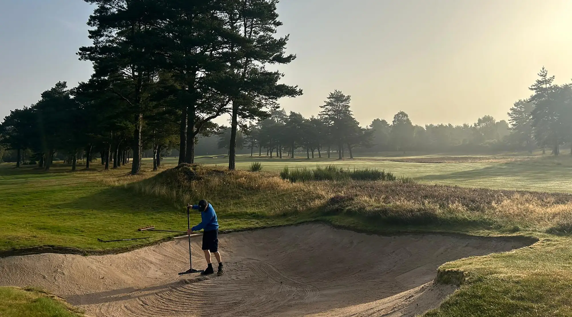 Golfer raking a bunker at sunrise on Ladybank Golf Club's course